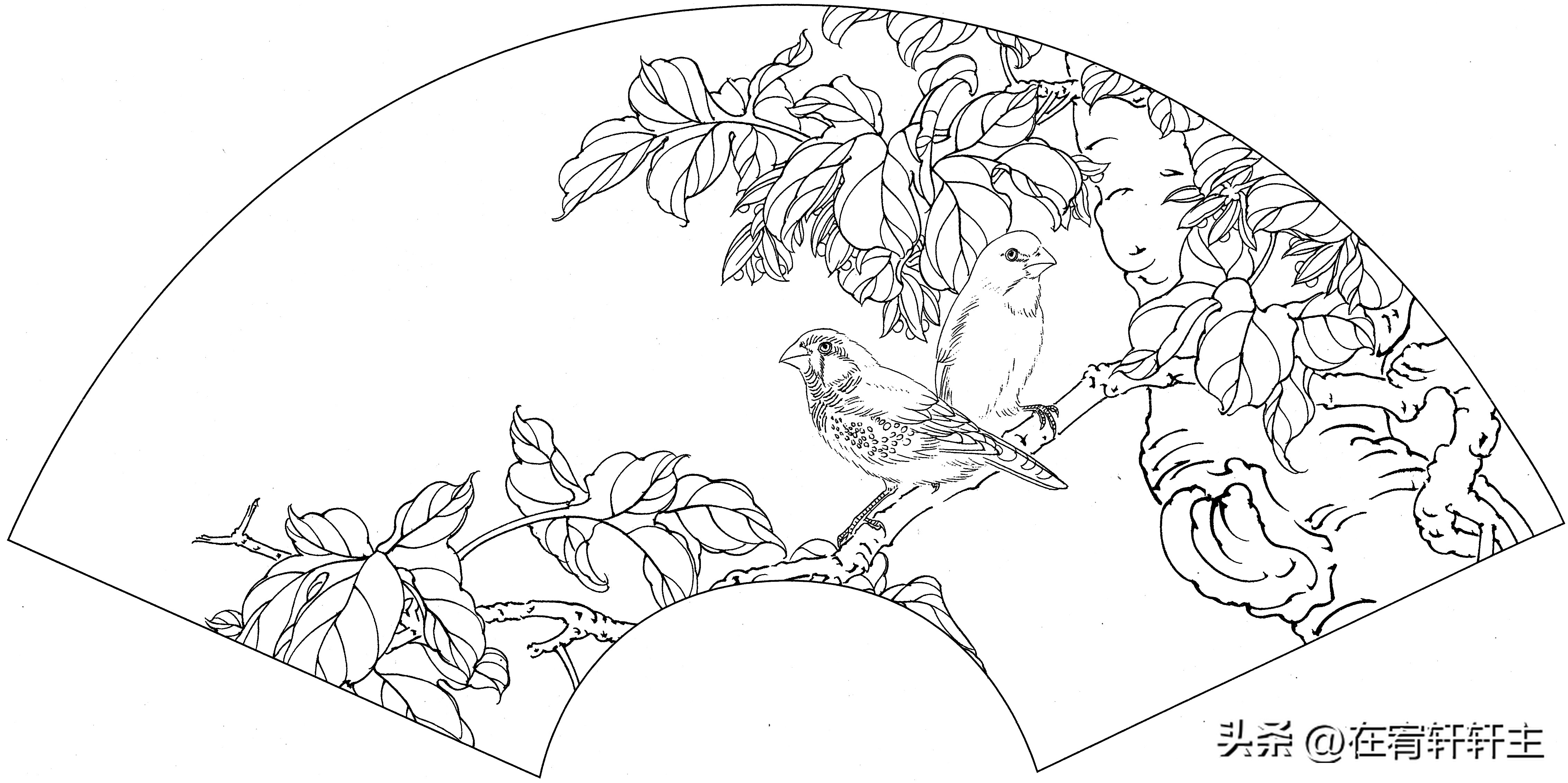 工笔白描祥云图案扇面,工笔扇面葡萄白描图片