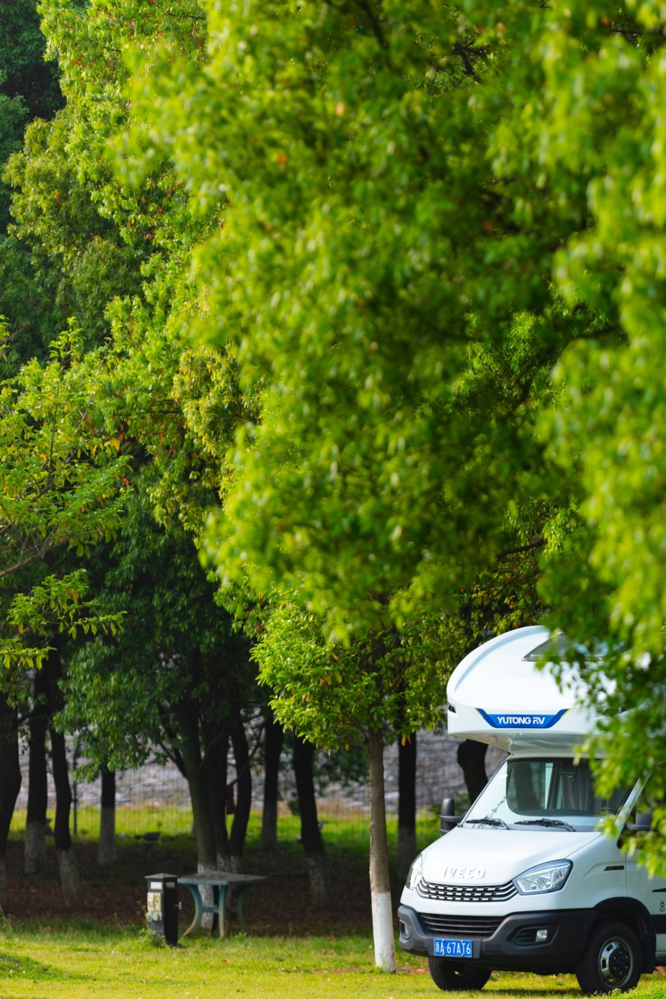 荆州洈水，五一自驾露营的好去处