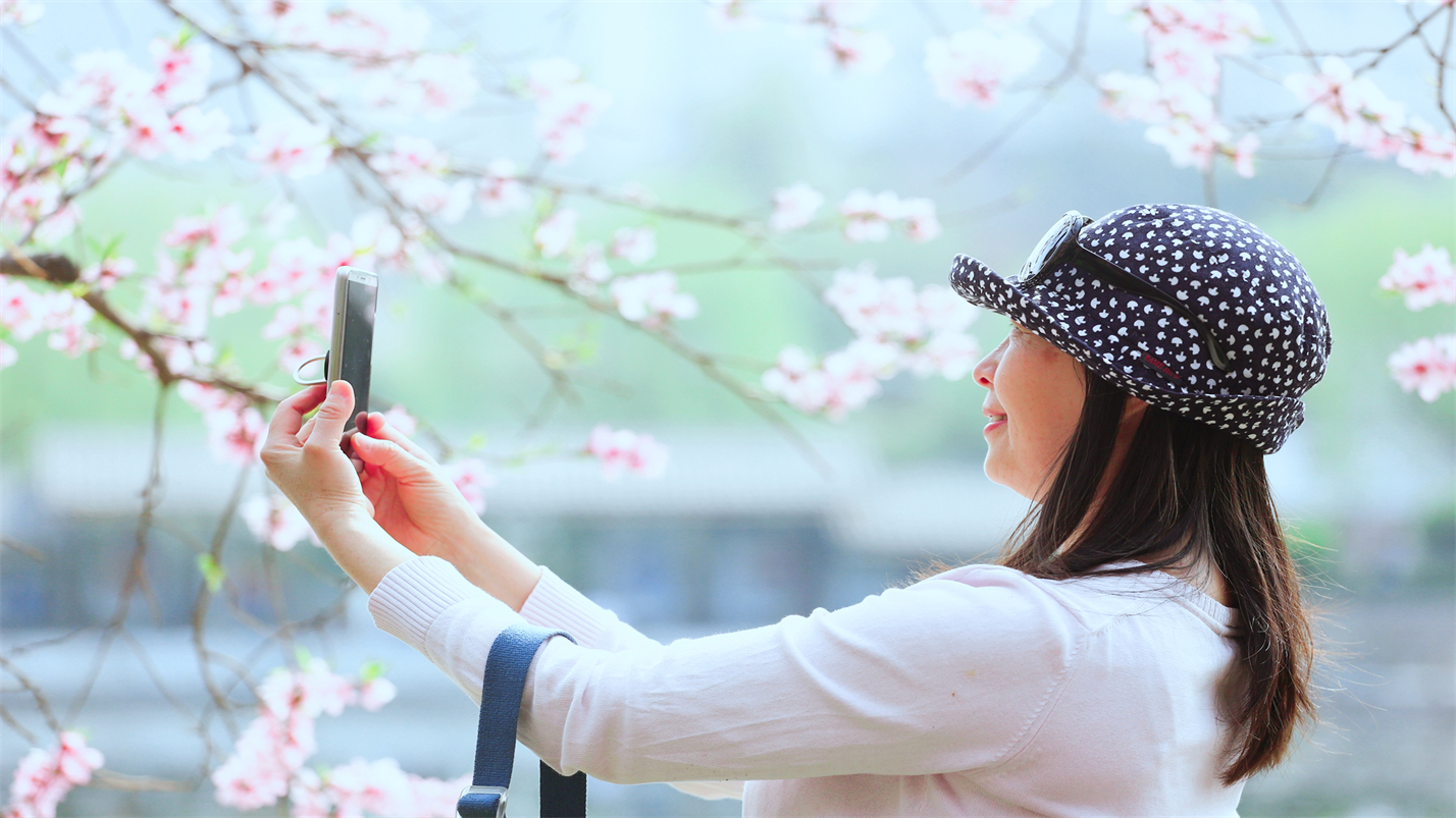春情春思春景赏，春思春念春日长