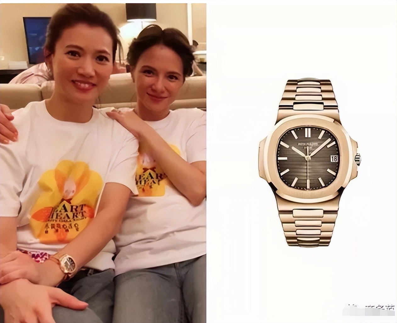 港姐袁咏仪包包,袁咏仪最贵的爱马仕包