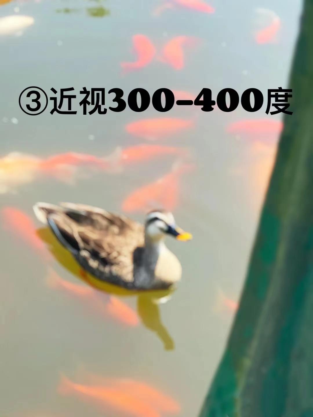 近视多少度以上要一直持续戴眼镜,近视多少度可以不戴眼镜正常生活