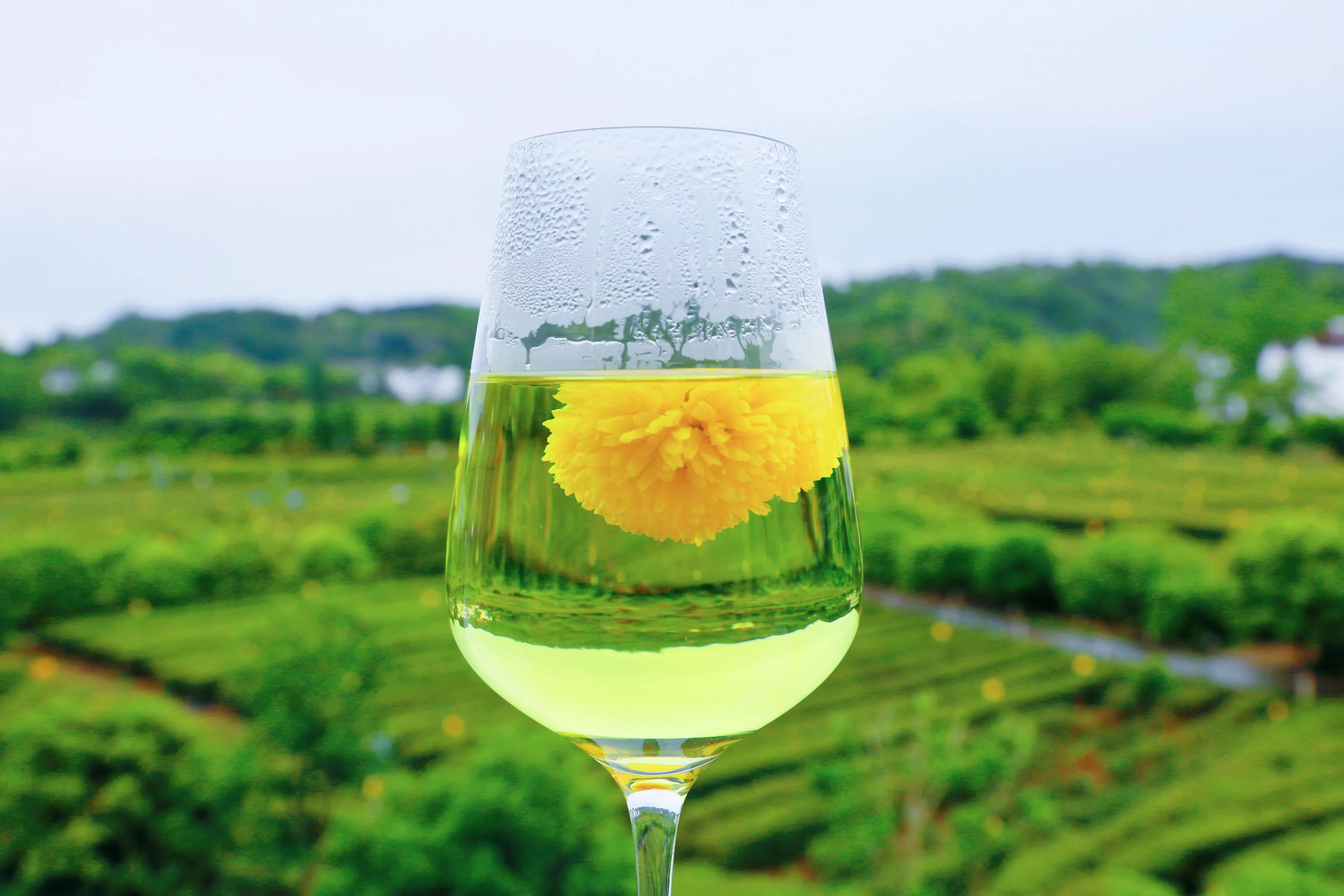 西乡县最美茶乡,西乡最美茶园