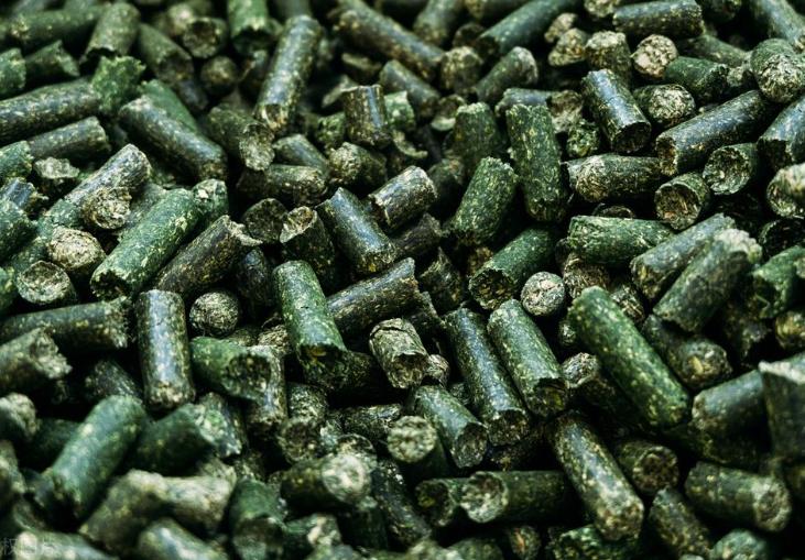 浅析高低比例棉籽壳饲粮对多浪羊消化代谢及微生物区系的影响