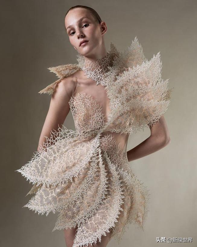 纸艺作品绘画,千变万化的纸艺术作品