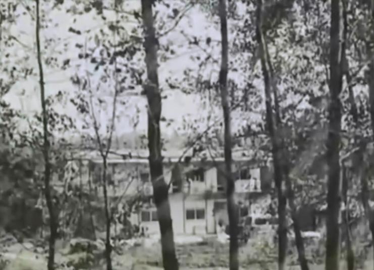 2018年湖北废弃养鸡场泥土变白,湖北养鸡场附近土呈白色