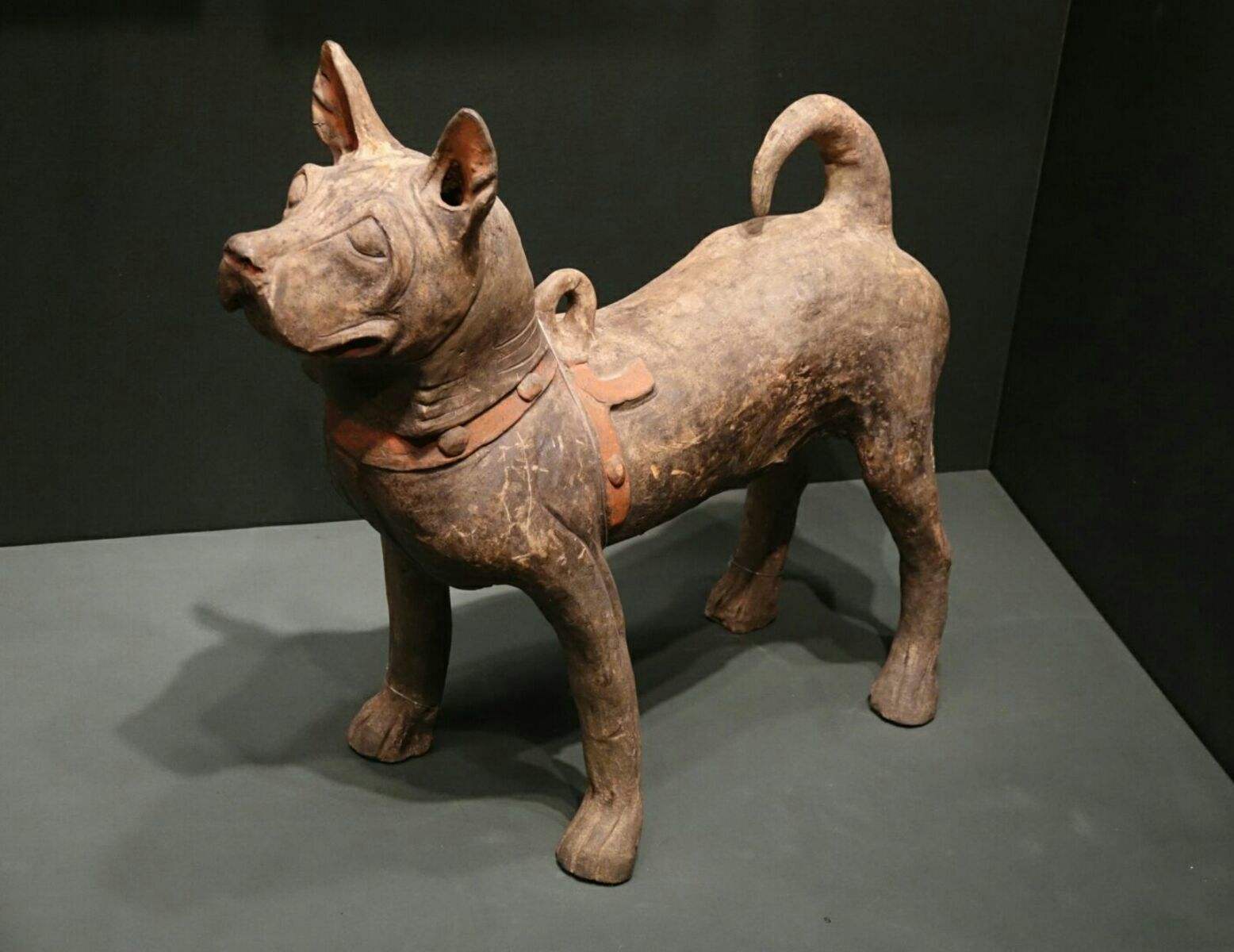 基因缺陷的人造杂交鱼，竟给台湾省赚到20亿外汇？背后真相太残忍