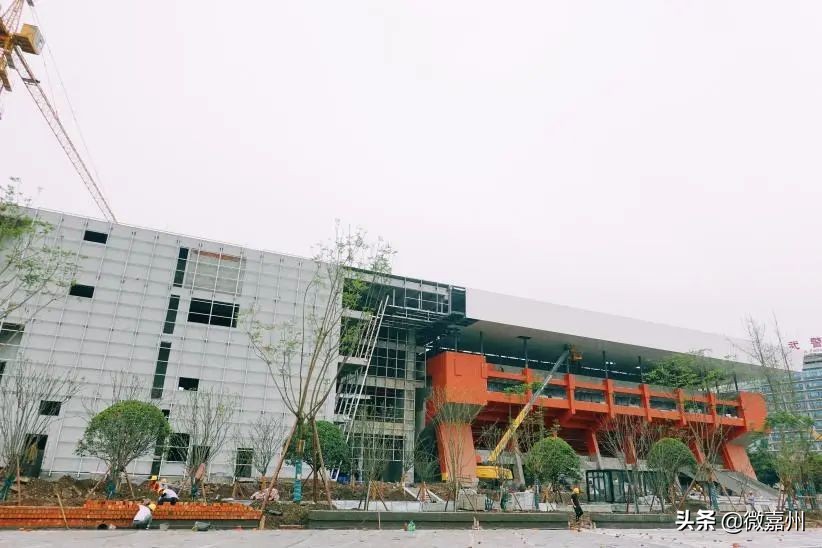 我为巴中农村产品代言,我为家乡代言四川恩阳演讲稿