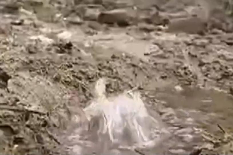 贵州山火相同的案例,贵州水田里的火焰