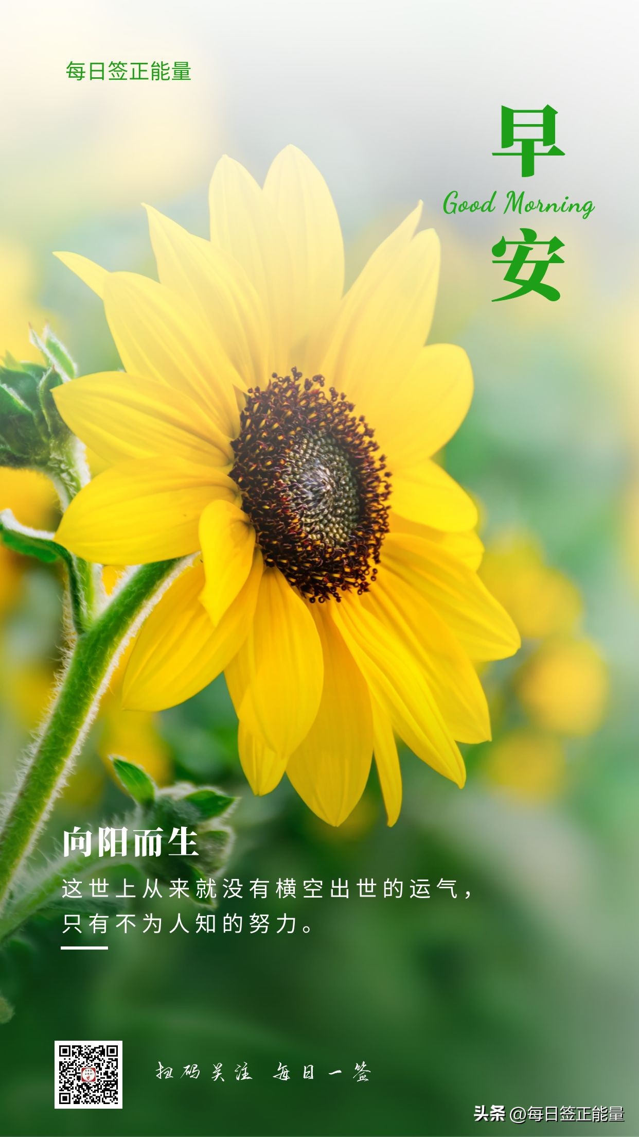 六月你好开心度过每一天,六月你好感谢大家的支持与鼓励