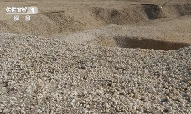 南航致歉滞留旅客全视频,南航为乘客被骂致歉直播