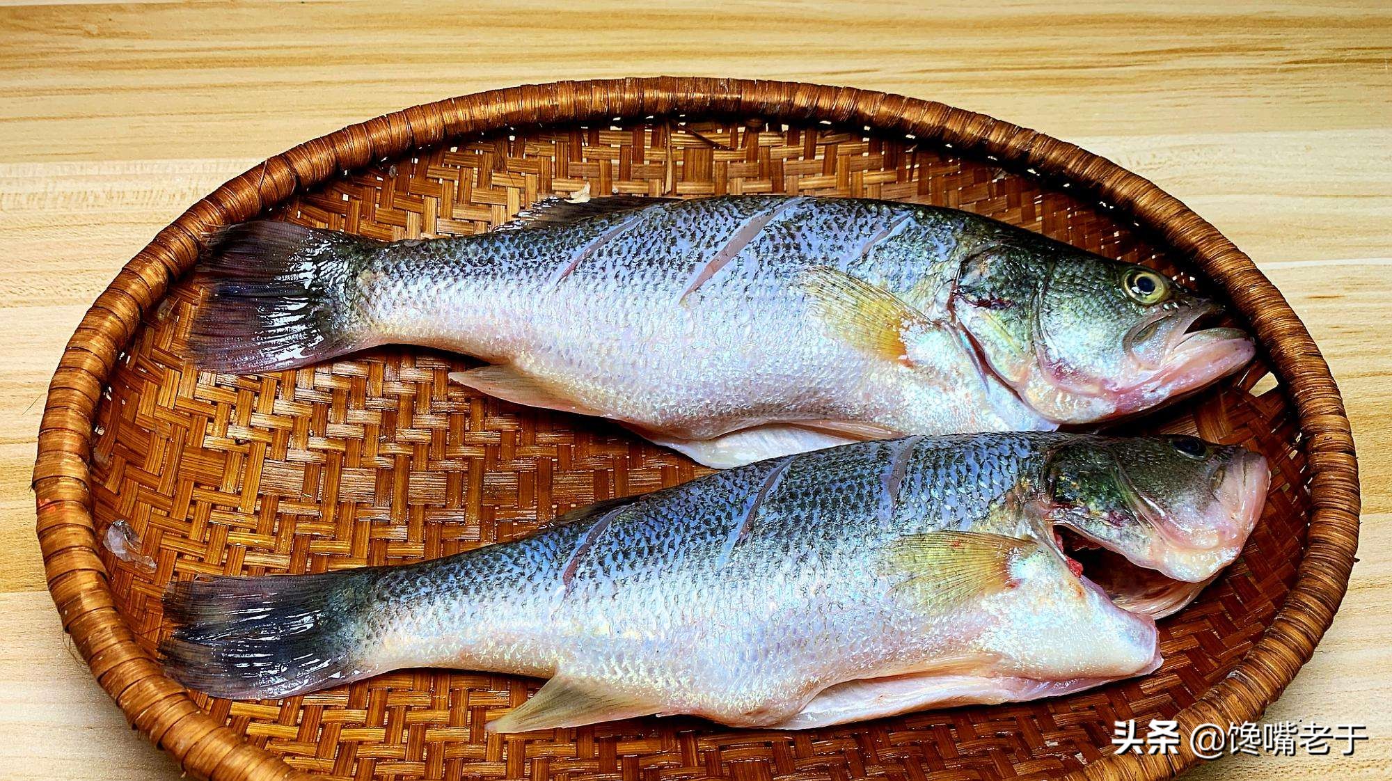 买鲈鱼肚子大的好还是小的好啊,买鲈鱼公的好还是母的好