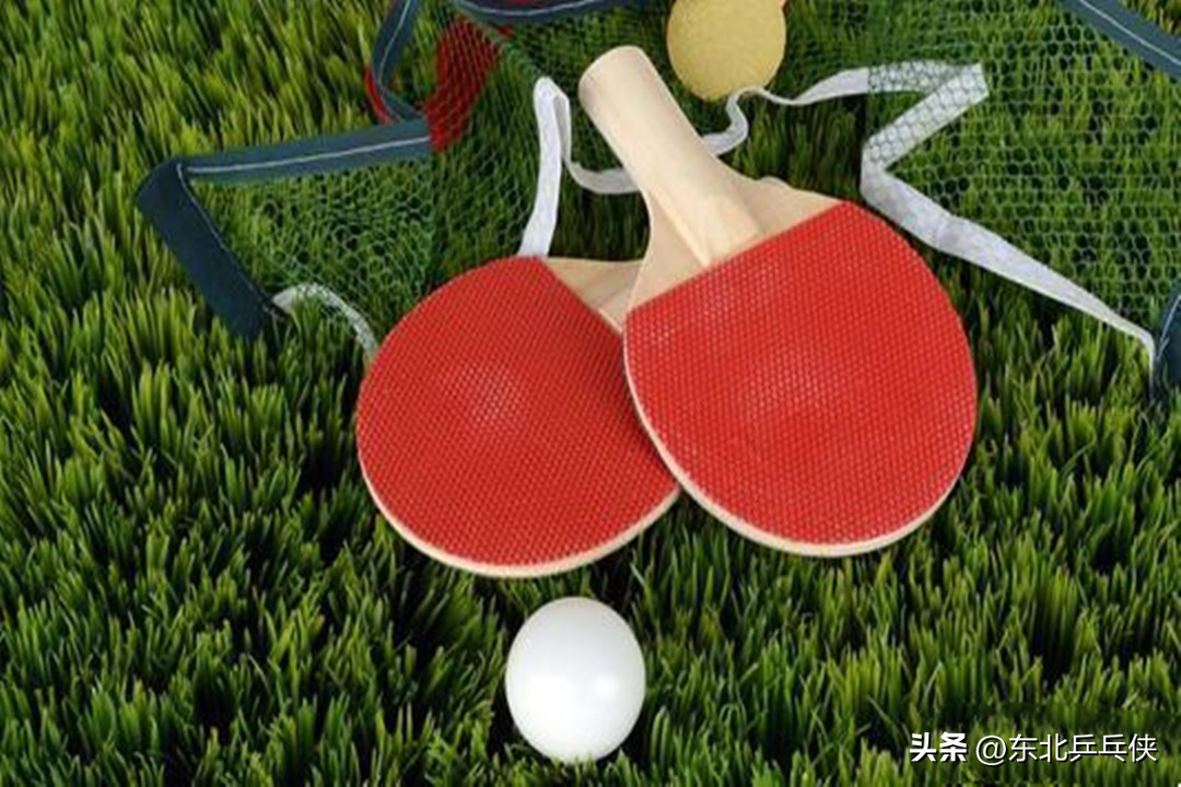 乒乓球拍初学者如何选择,乒乓球拍初学者该怎么选