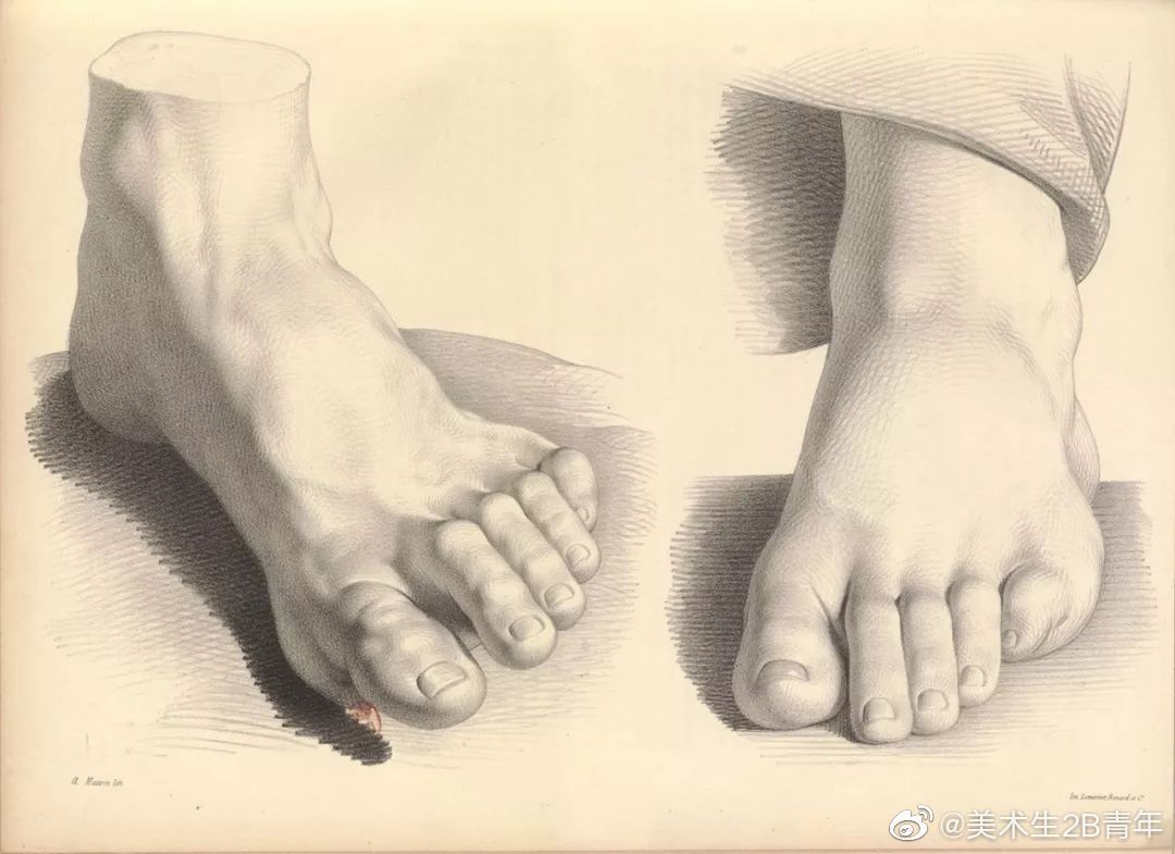 美术教资绘画,美术教资该画什么