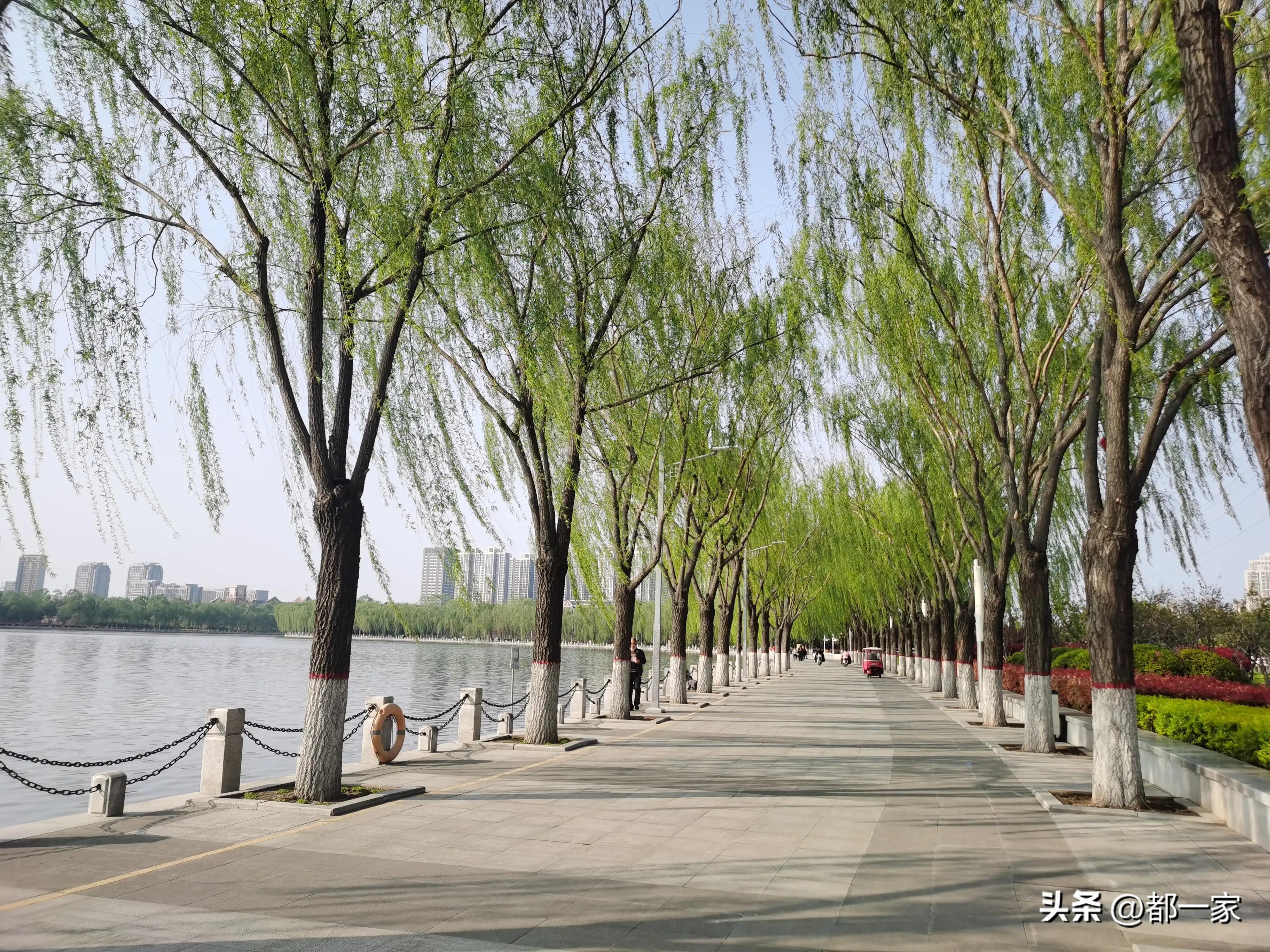 郑州须水河湿地公园,郑州索河湿地公园网红打卡地