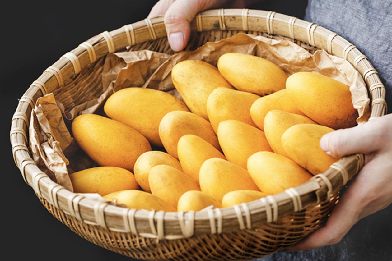 同样都是芒果，小台芒、贵妃芒、金煌芒哪个更好吃？它们有啥区别