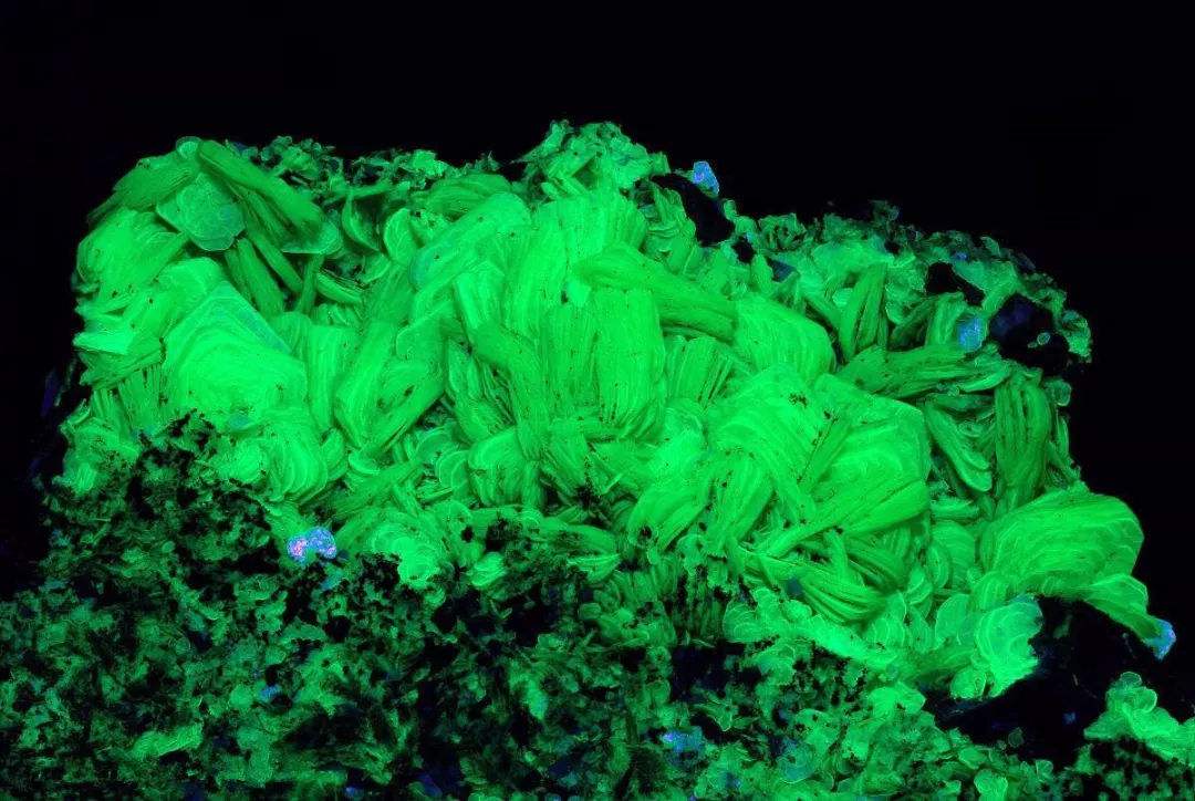 1954年，一群犹太人来中国想卖浓缩铀，周恩来下令：迅速查明真假