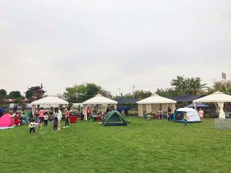 草莓园摘草莓怎么拍照,好玩的摘草莓胜地打卡