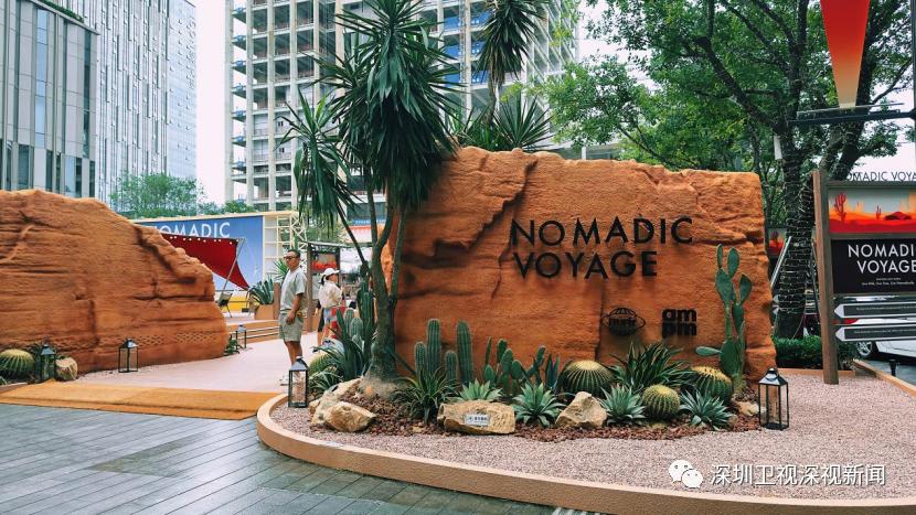 爱搞钱的深圳女性,爱搞钱的深圳