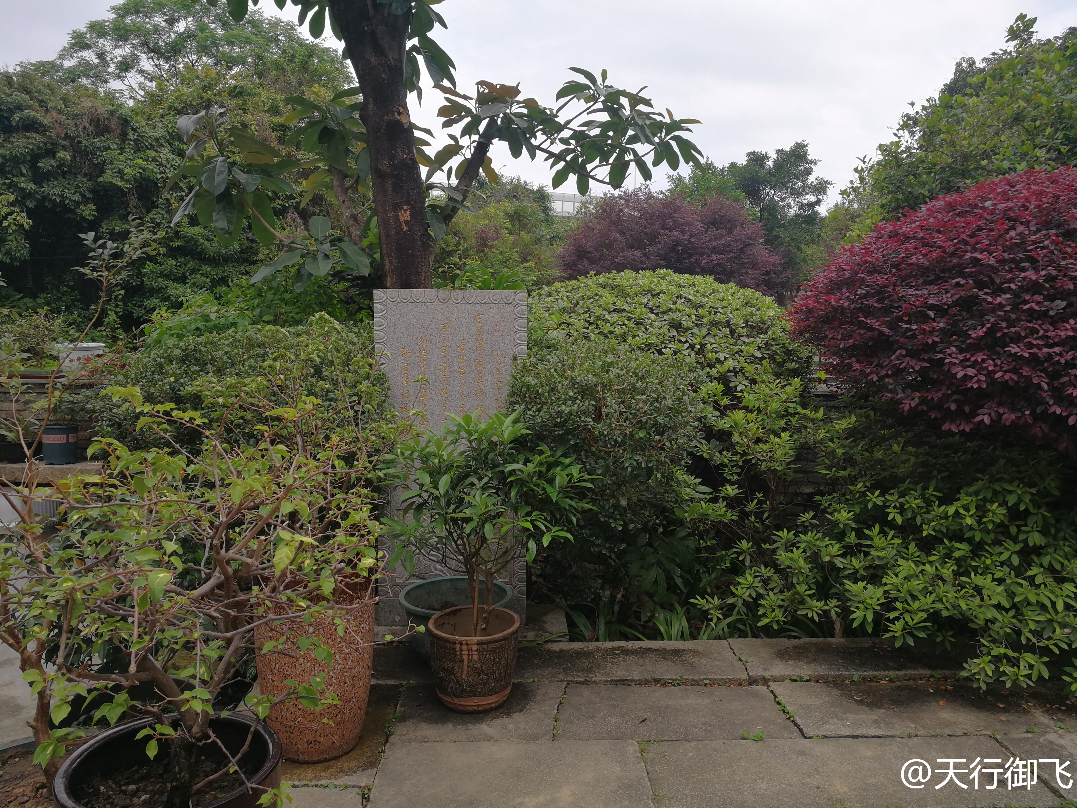 小洲村旅游景点地图,小洲村一日游最佳攻略