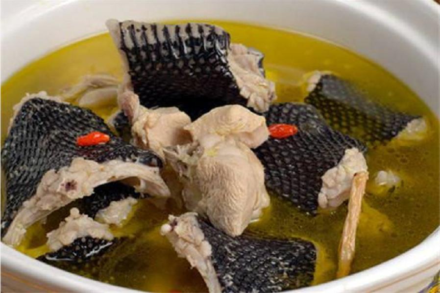 捡到眼镜蛇炖汤，剪掉的蛇头却突然“复活”，浙江老伯差点失明