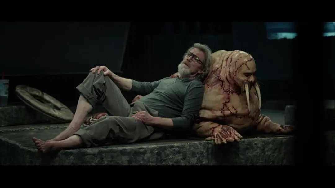 血腥且治愈的电影推荐,最刺激的暗黑电影