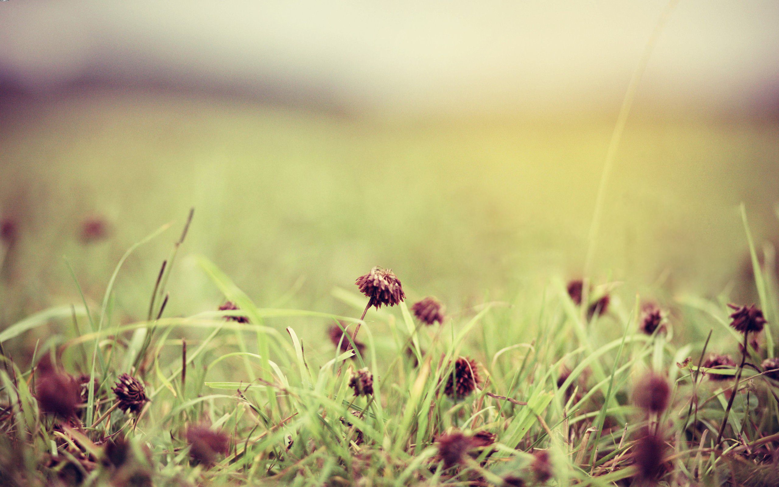 相依相偎难舍难分,男女之间无法割舍无法在一起