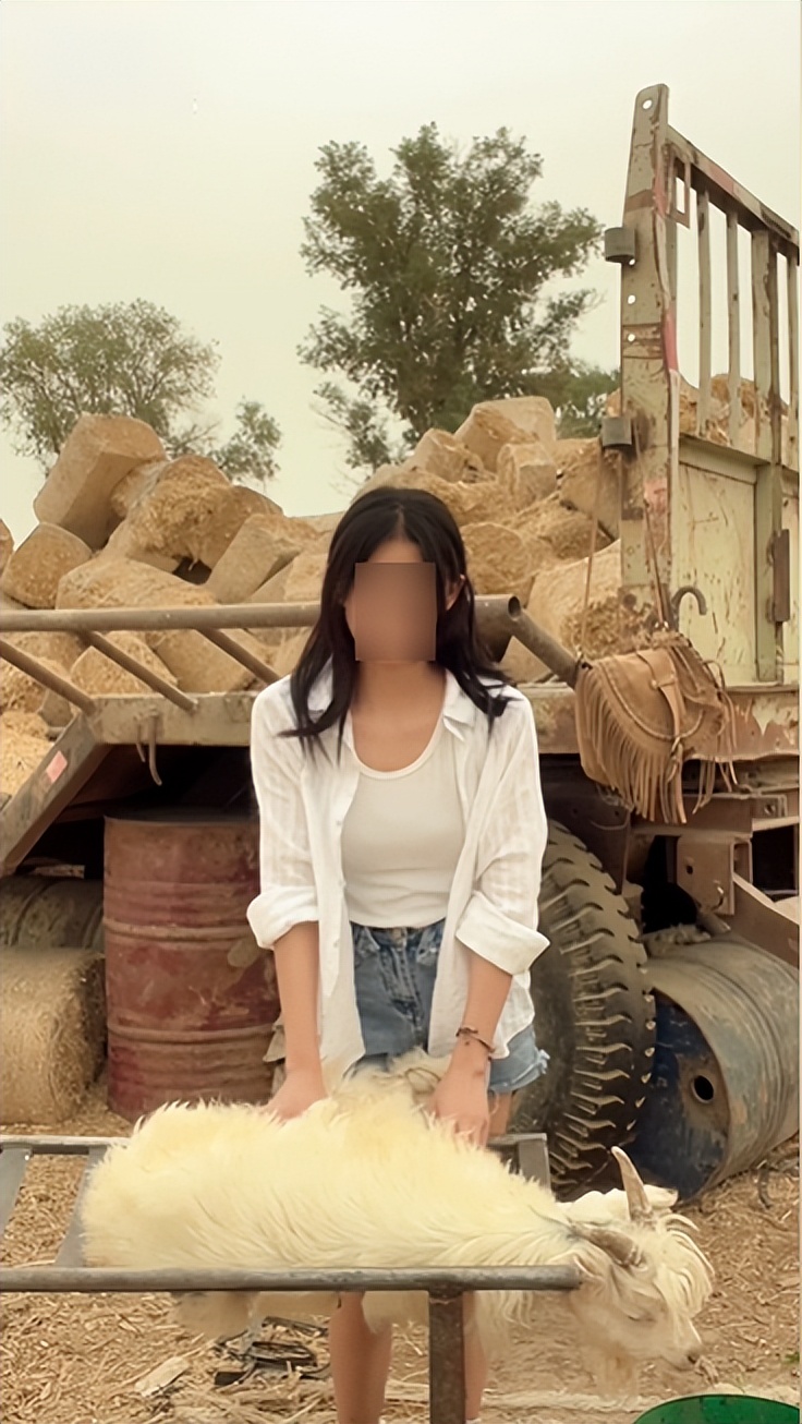 *放播**量超5500万，7天涨粉200万！*疆新**牧羊女孩如何强势出圈？