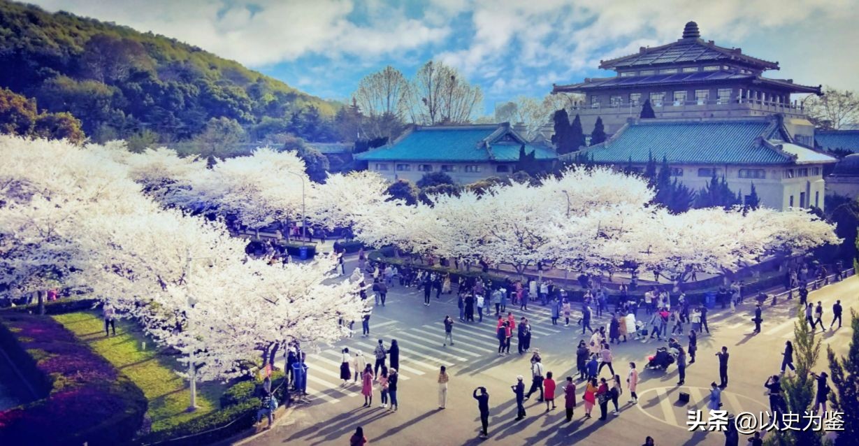 为什么日本有樱花节呢,日本为什么有樱花节呢