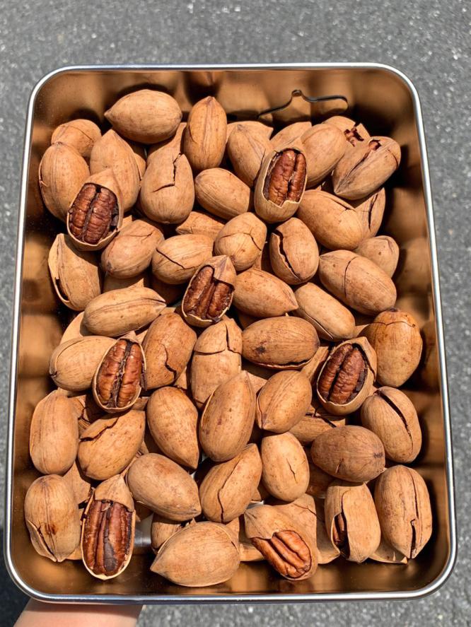 别再乱买零食了！这5款人气高口感棒的零食，吃到停不下来