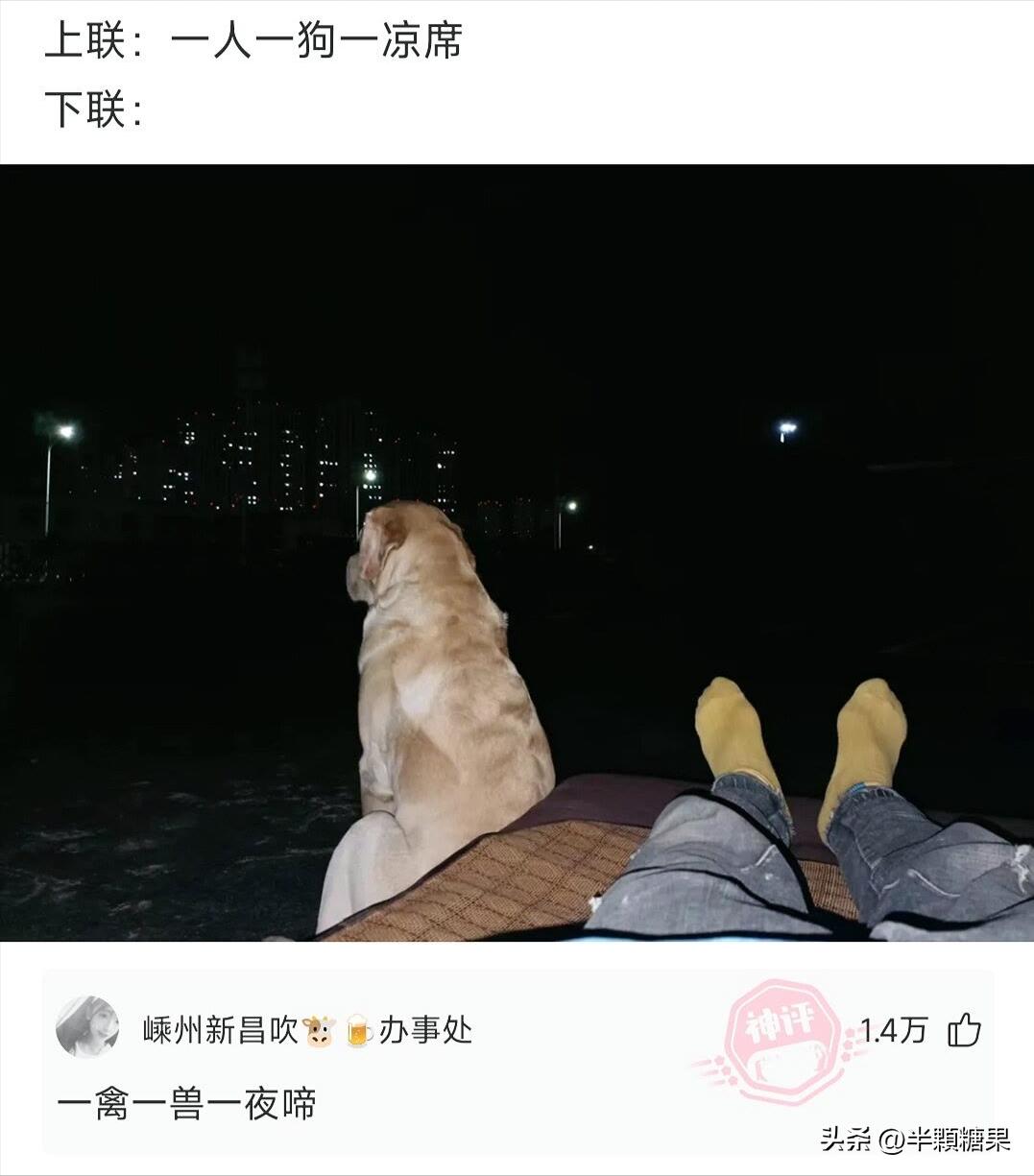 网友爆笑神回复,令人破防的爆笑神回复