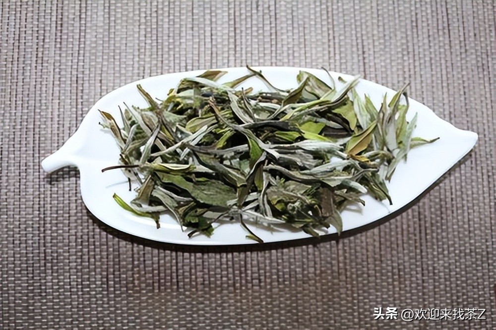 茶叶的有效期和保质期有什么区别,红茶有保质期吗过期的茶叶能喝吗
