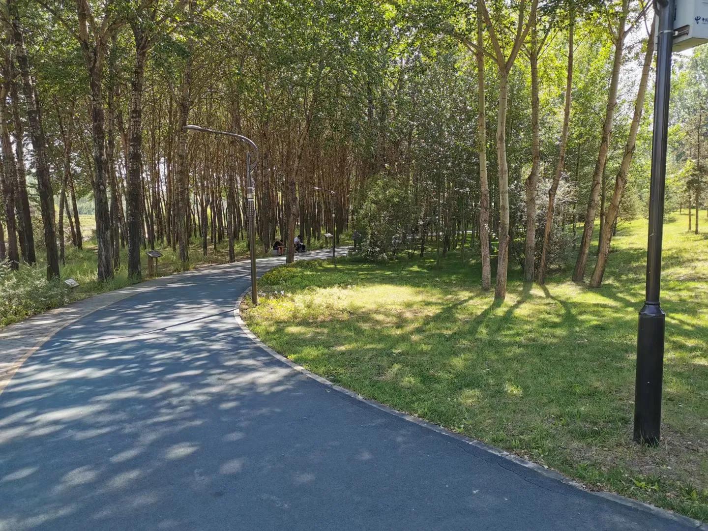 西宁印象旅行社,西宁印象摄影工作室