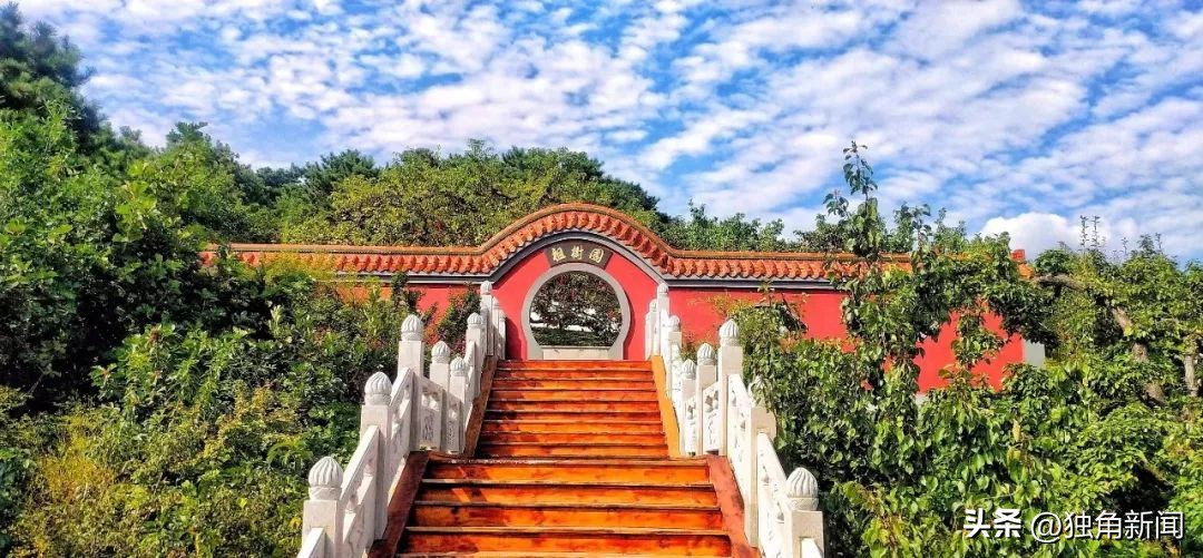 奥运冠军之城辽宁,奥运冠军最多的城市鞍山