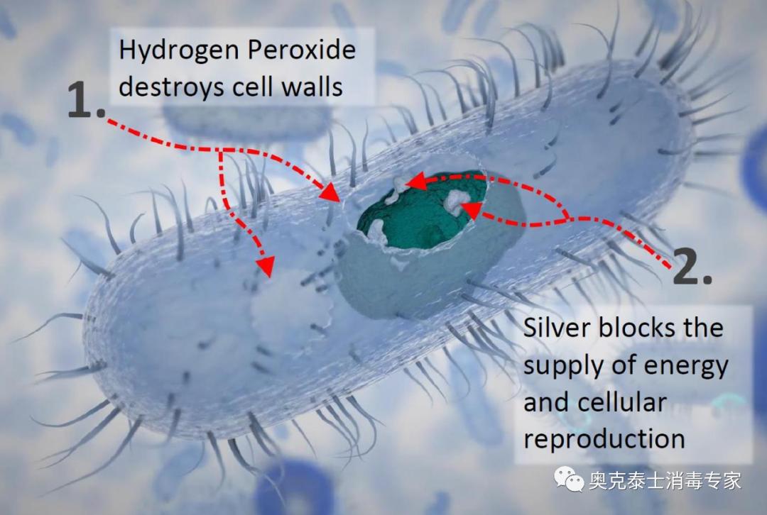 医药制药纯化水设备管道生物膜清洗消毒方法控制菌落总数细菌等