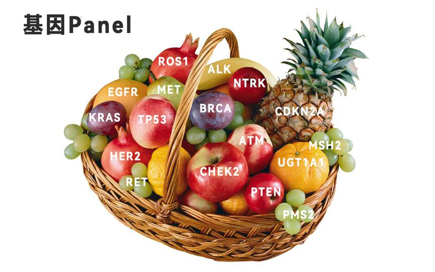肺癌基因检测哪个套餐好,肺癌基因检测套餐怎么选