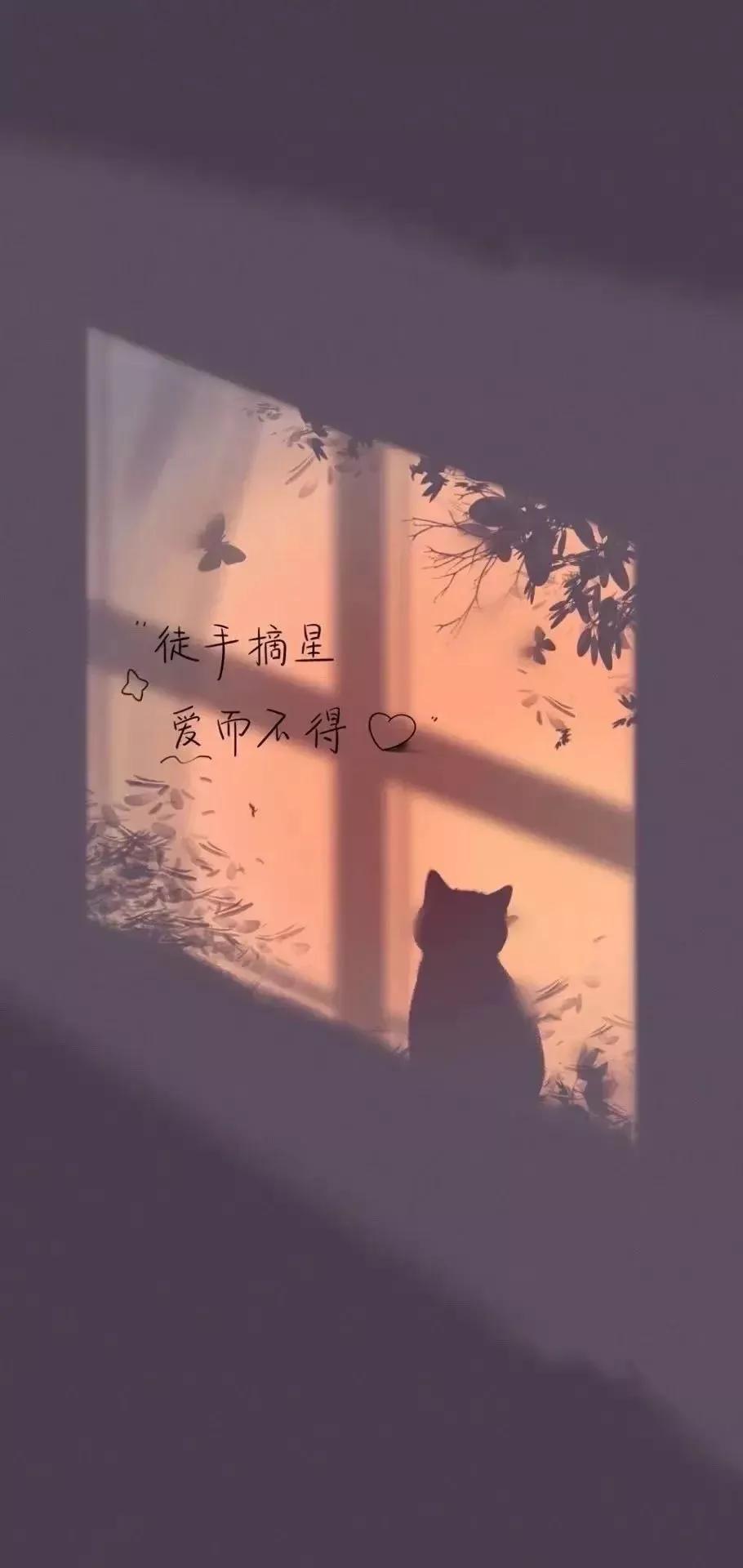 高清壁纸图片全屏干净高级,男士专用黑色美女全屏壁纸