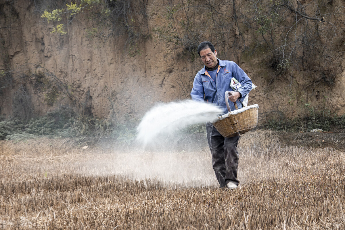 中年男人抱怨父母老婆该怎么安慰,中年爸爸的无奈