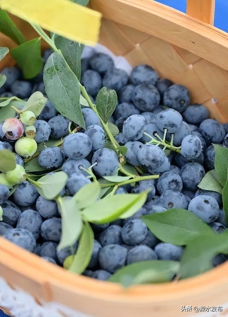南京溧水最好的活动,南京溧水最新活动