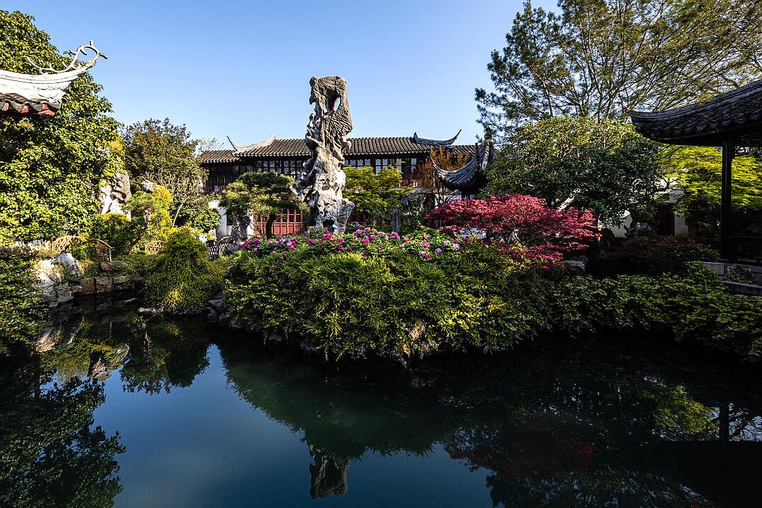 苏州旅游十大赏花景点,苏州赏花最佳景区排名