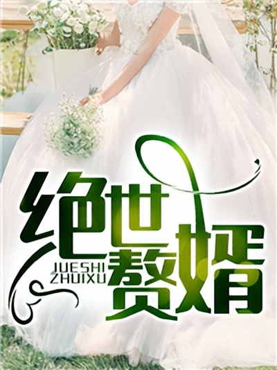 上门龙婿历史小说推荐,上门龙婿经典小说