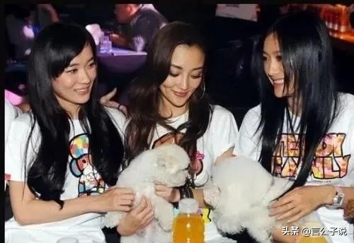 泰迪姐妹团个人资料,娱乐圈泰迪姐妹团现状