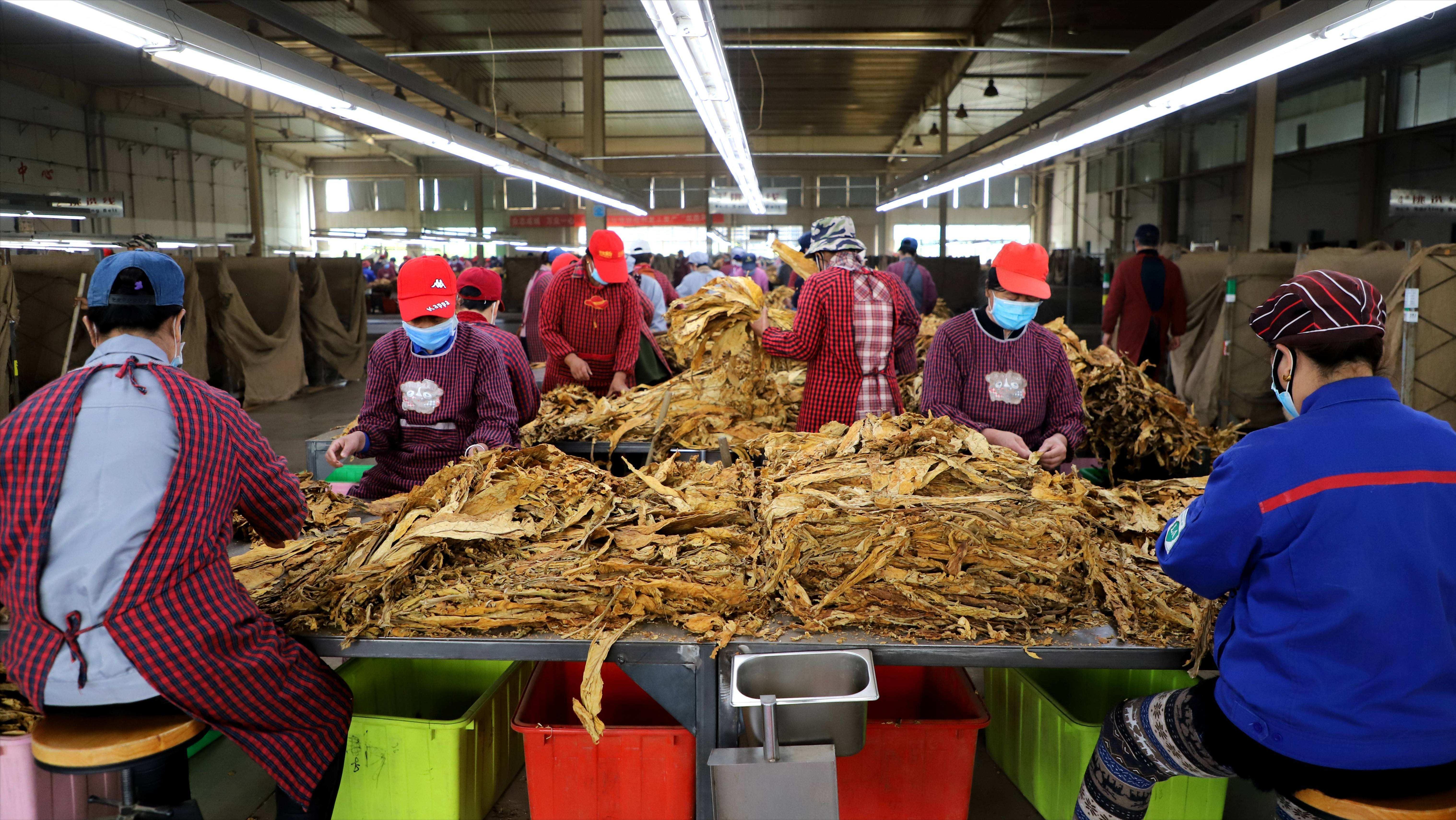 烟企女掌门受贿超4亿,烟企女掌门受贿超4亿落马