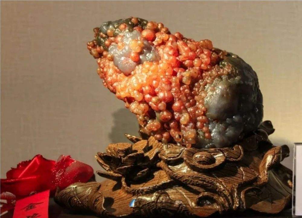 捡什么样的石头能发家致富 (捡石头真的可以发财吗)