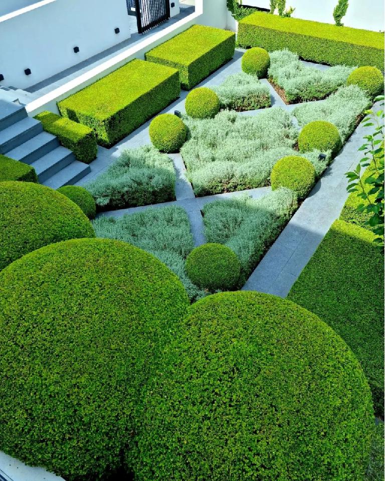 那些被我们忽略的风景,球球景观