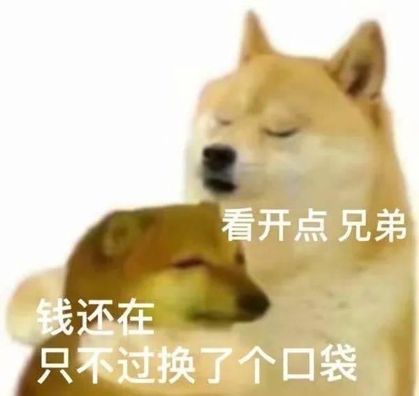 笑死！狗子天天往家里带狼，大叔从害怕到麻木，到最后来者是客