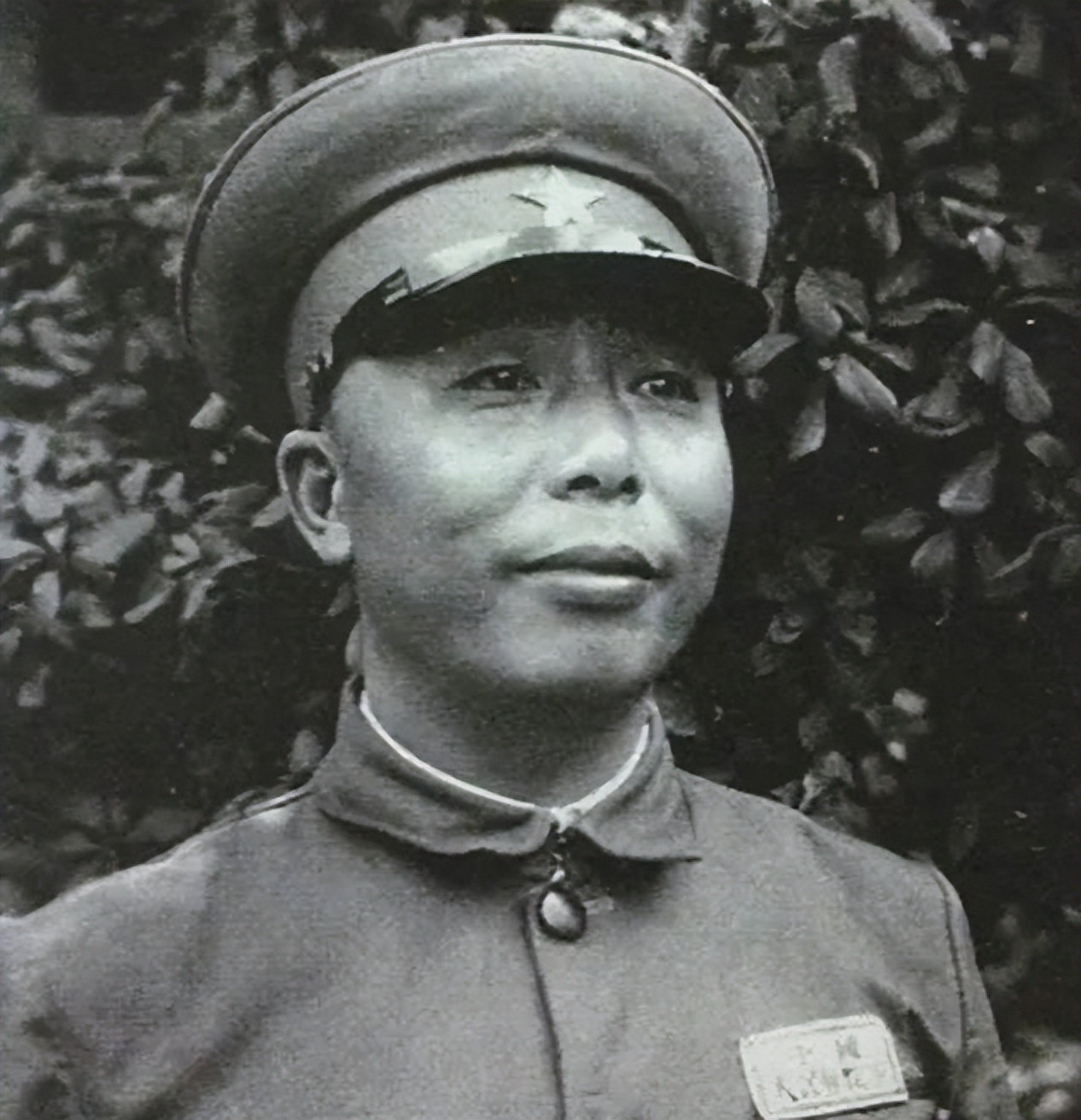 1972年,65岁开国上将迎娶小33岁的小姨子:这是妻子临终前的遗愿