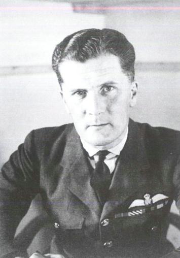 漂泊的鱼完整版,漂泊的鱼鹰