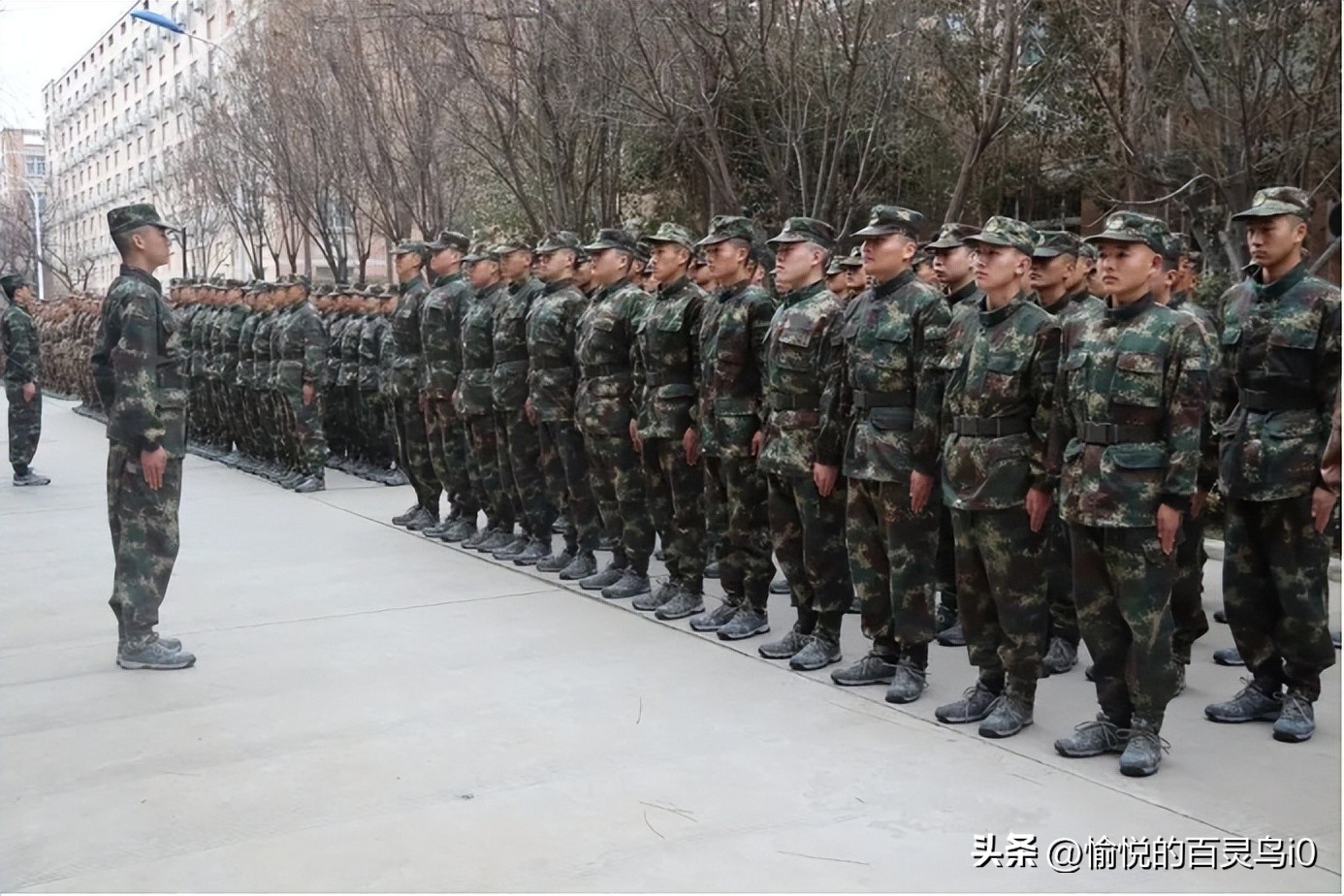 2022年陕西省定向培养军士计划表,陕西定向军士都需要什么条件