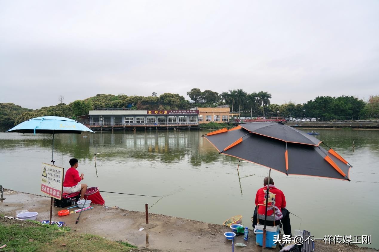 在东莞享顺德美食，记顺德坚野山庄第二分店正式开业