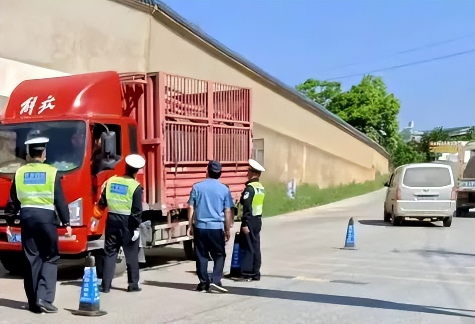 交警夏季安全整治行动,夏季交警整治交通违法